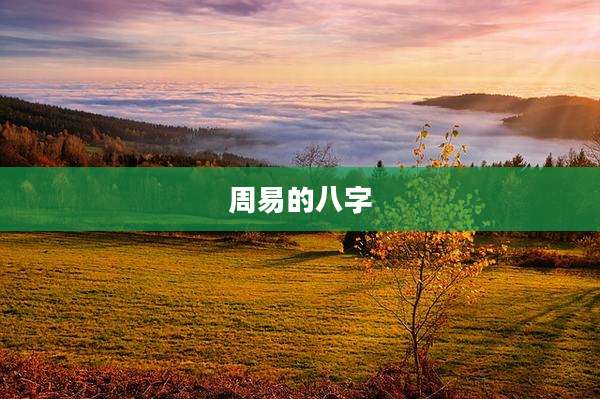 周易的八字