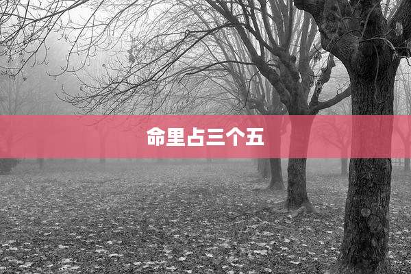 命里占三个五