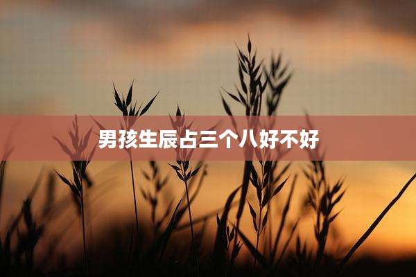 男孩生辰占三个八好不好