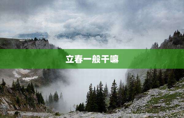 立春一般干嘛