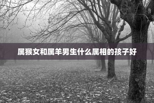 属猴女和属羊男生什么属相的孩子好