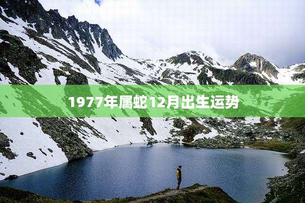 1977年属蛇12月出生运势