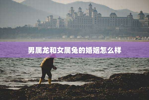 男属龙和女属兔的婚姻怎么样