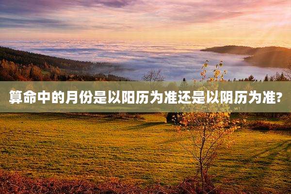 算命中的月份是以阳历为准还是以阴历为准?
