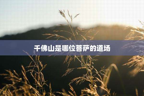 千佛山是哪位菩萨的道场