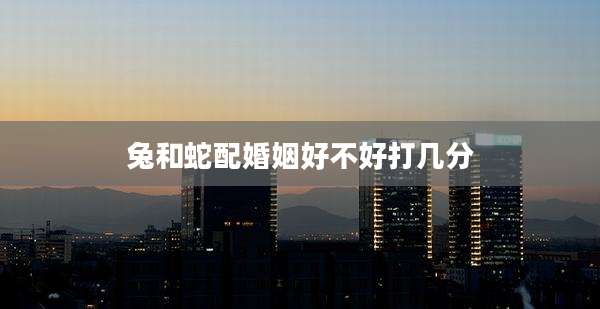 兔和蛇配婚姻好不好打几分