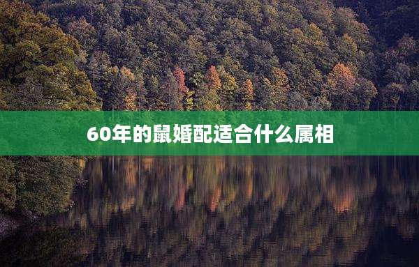 60年的鼠婚配适合什么属相