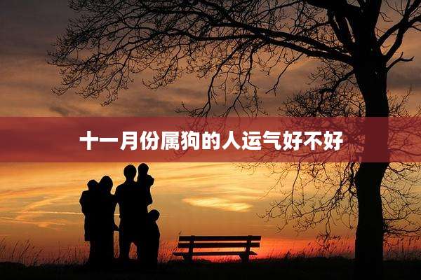 十一月份属狗的人运气好不好