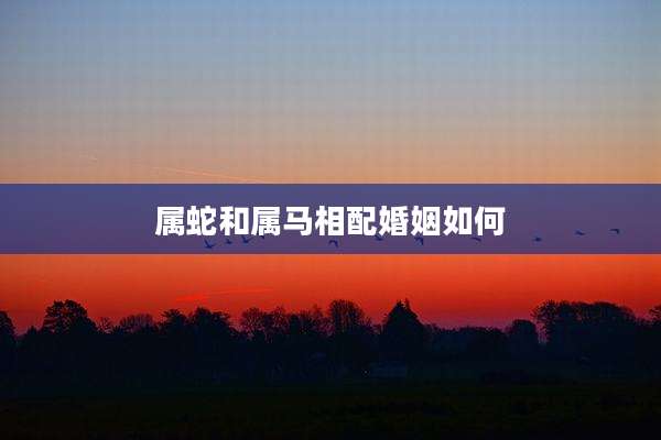 属蛇和属马相配婚姻如何