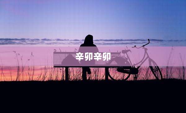 辛卯辛卯