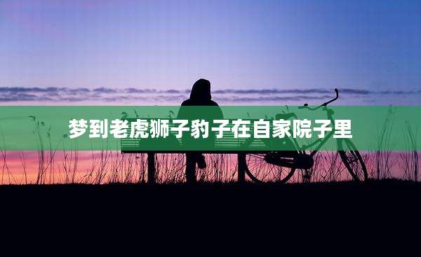 梦到老虎狮子豹子在自家院子里