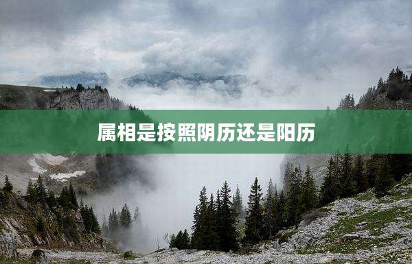 属相是按照阴历还是阳历