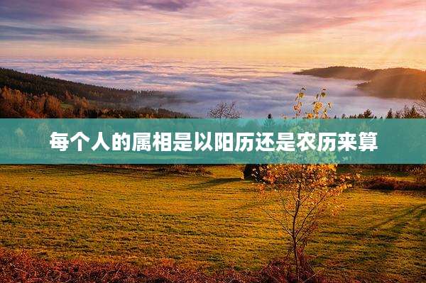 每个人的属相是以阳历还是农历来算