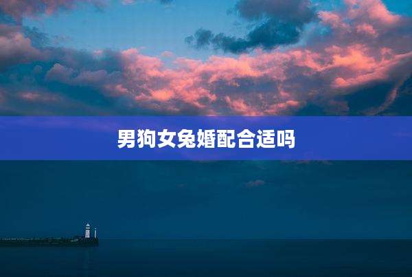 男狗女兔婚配合适吗
