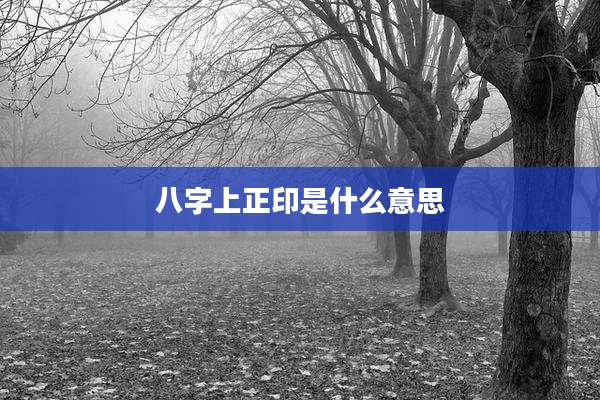 八字上正印是什么意思