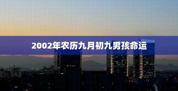 2002年农历九月初九男孩命运