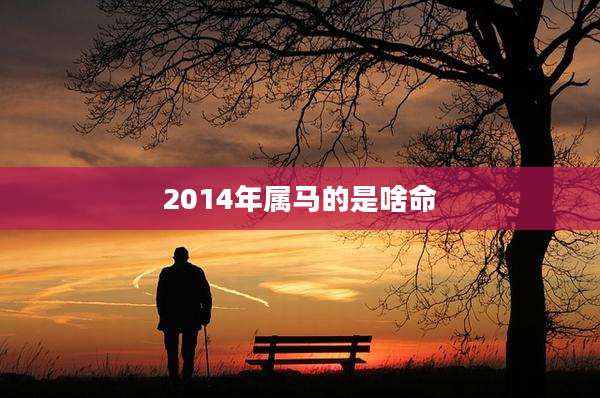 2014年属马的是啥命