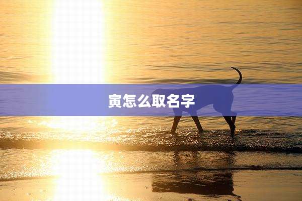 寅怎么取名字