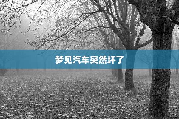 梦见汽车突然坏了