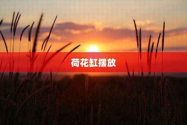 荷花缸摆放