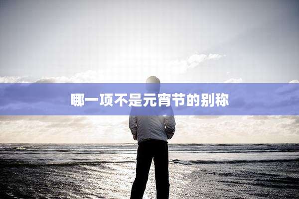 哪一项不是元宵节的别称