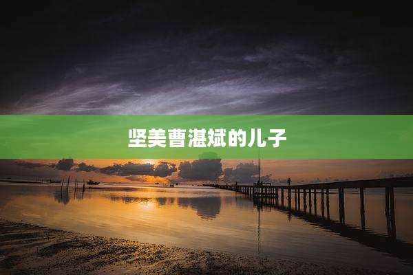 坚美曹湛斌的儿子