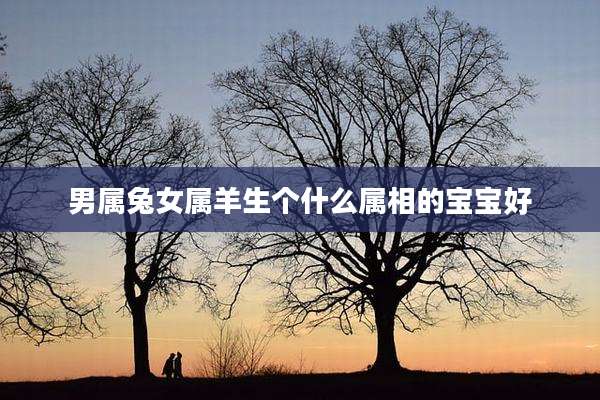 男属兔女属羊生个什么属相的宝宝好