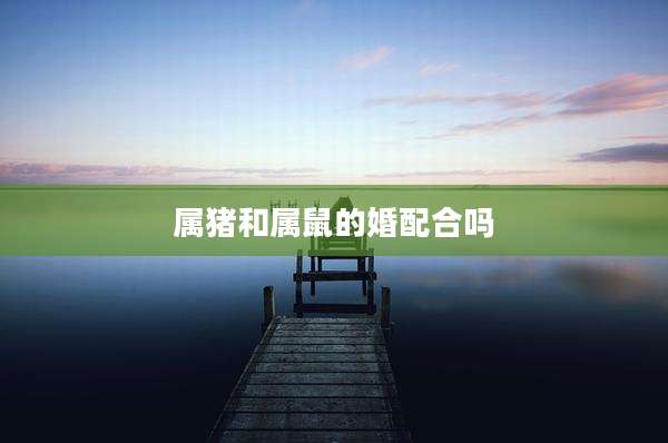 属猪和属鼠的婚配合吗
