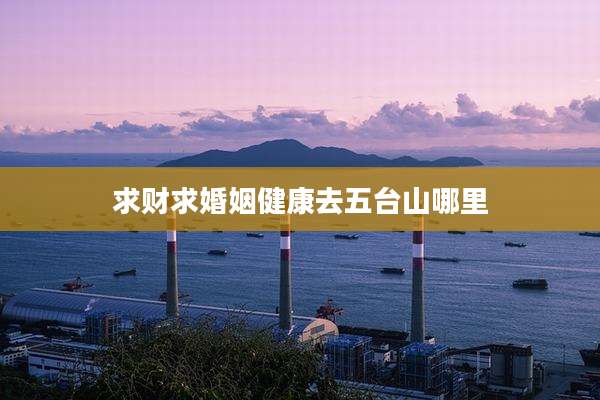 求财求婚姻健康去五台山哪里
