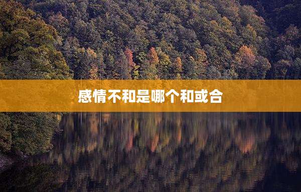 感情不和是哪个和或合