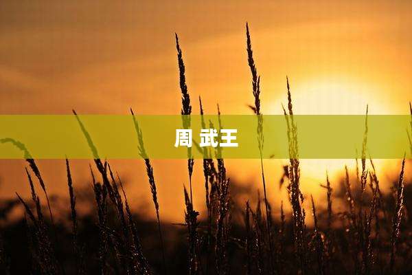 周 武王