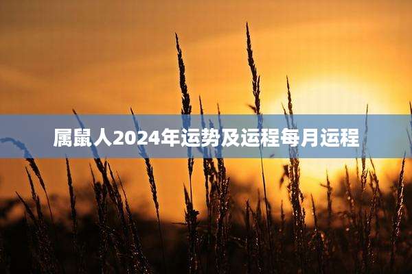 属鼠人2024年运势及运程每月运程