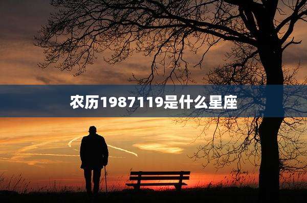 农历1987119是什么星座