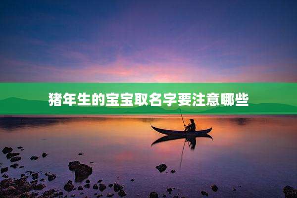 猪年生的宝宝取名字要注意哪些
