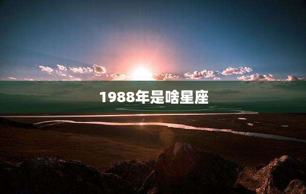 1988年是啥星座