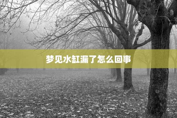 梦见水缸漏了怎么回事