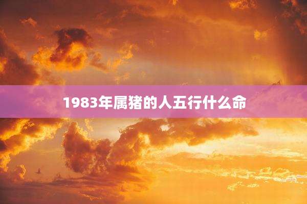 1983年属猪的人五行什么命