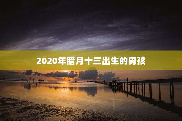 2020年腊月十三出生的男孩