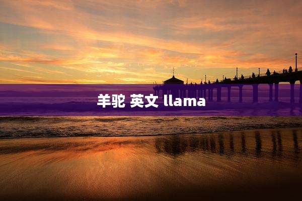 羊驼 英文 llama