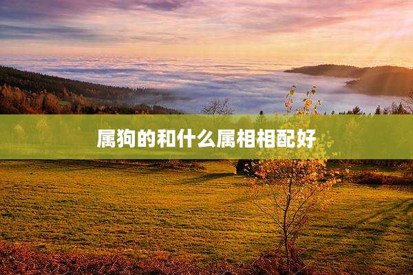 属狗的和什么属相相配好