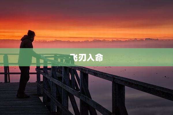 飞刃入命