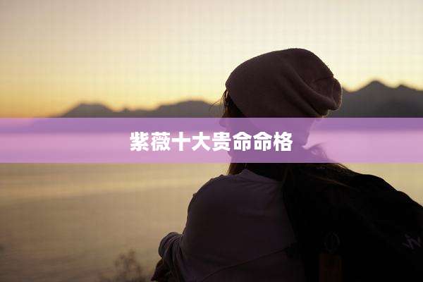 紫薇十大贵命命格