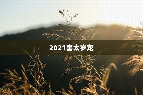 2021害太岁龙