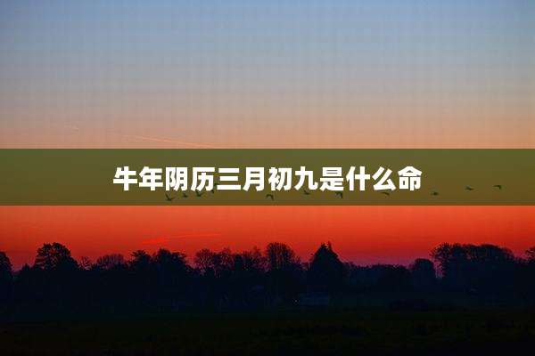 牛年阴历三月初九是什么命