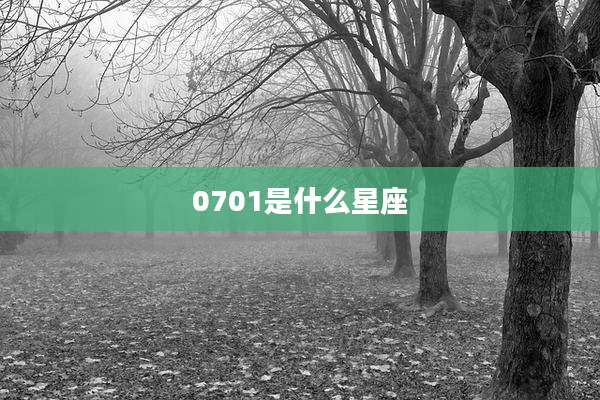 0701是什么星座