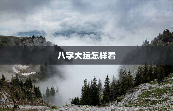 八字大运怎样看