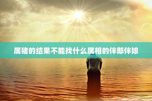 属猪的结果不能找什么属相的伴郎伴娘