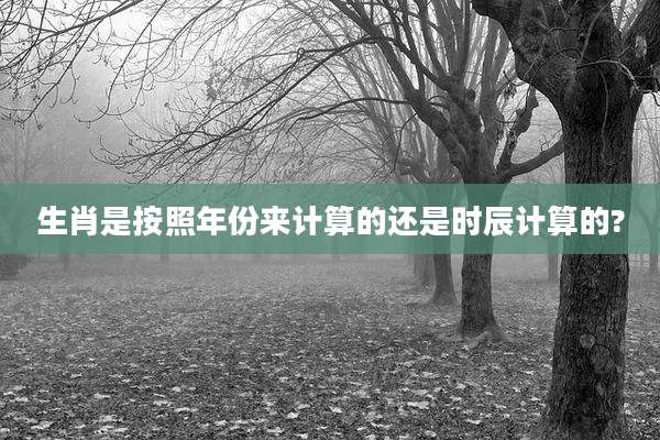 生肖是按照年份来计算的还是时辰计算的?