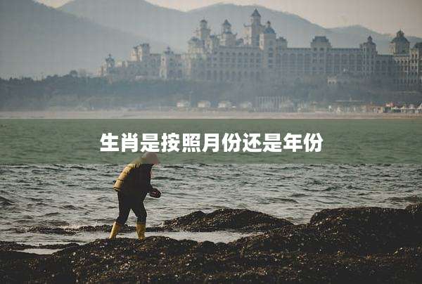 生肖是按照月份还是年份