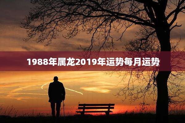 1988年属龙2019年运势每月运势